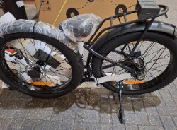 Electric bike 